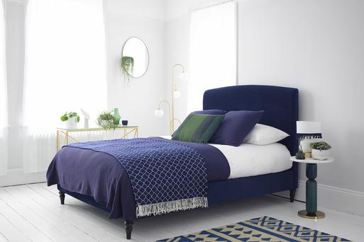 In the spotlight: Our Dahlia bed