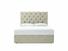 Foxtail (Tall) King Size Divan In Dove fabric